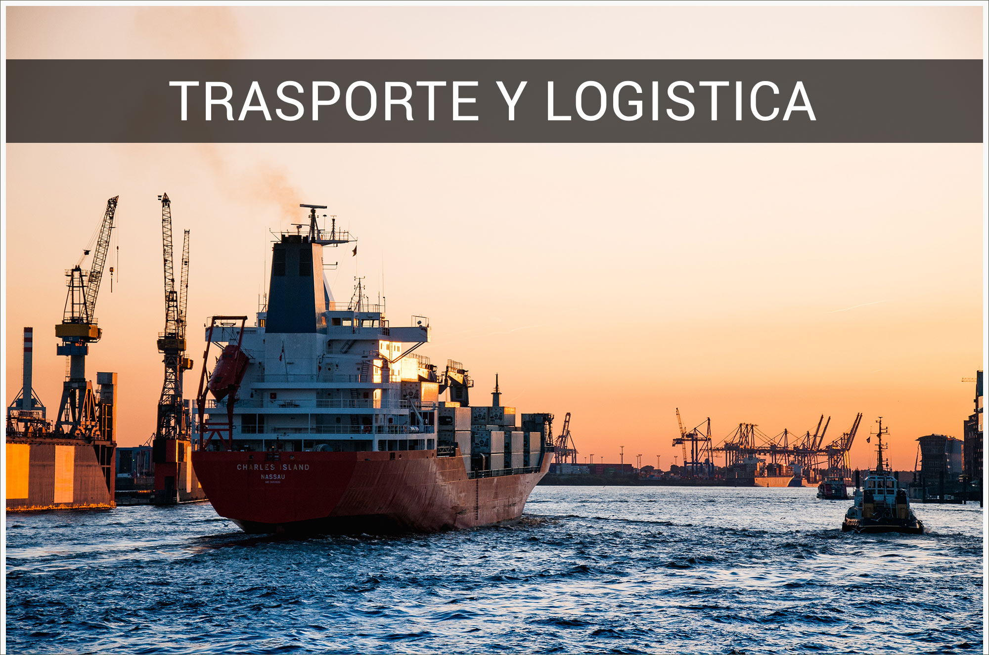 logistica Alternate Text